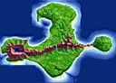 ile_aux_singes_plan.jpg